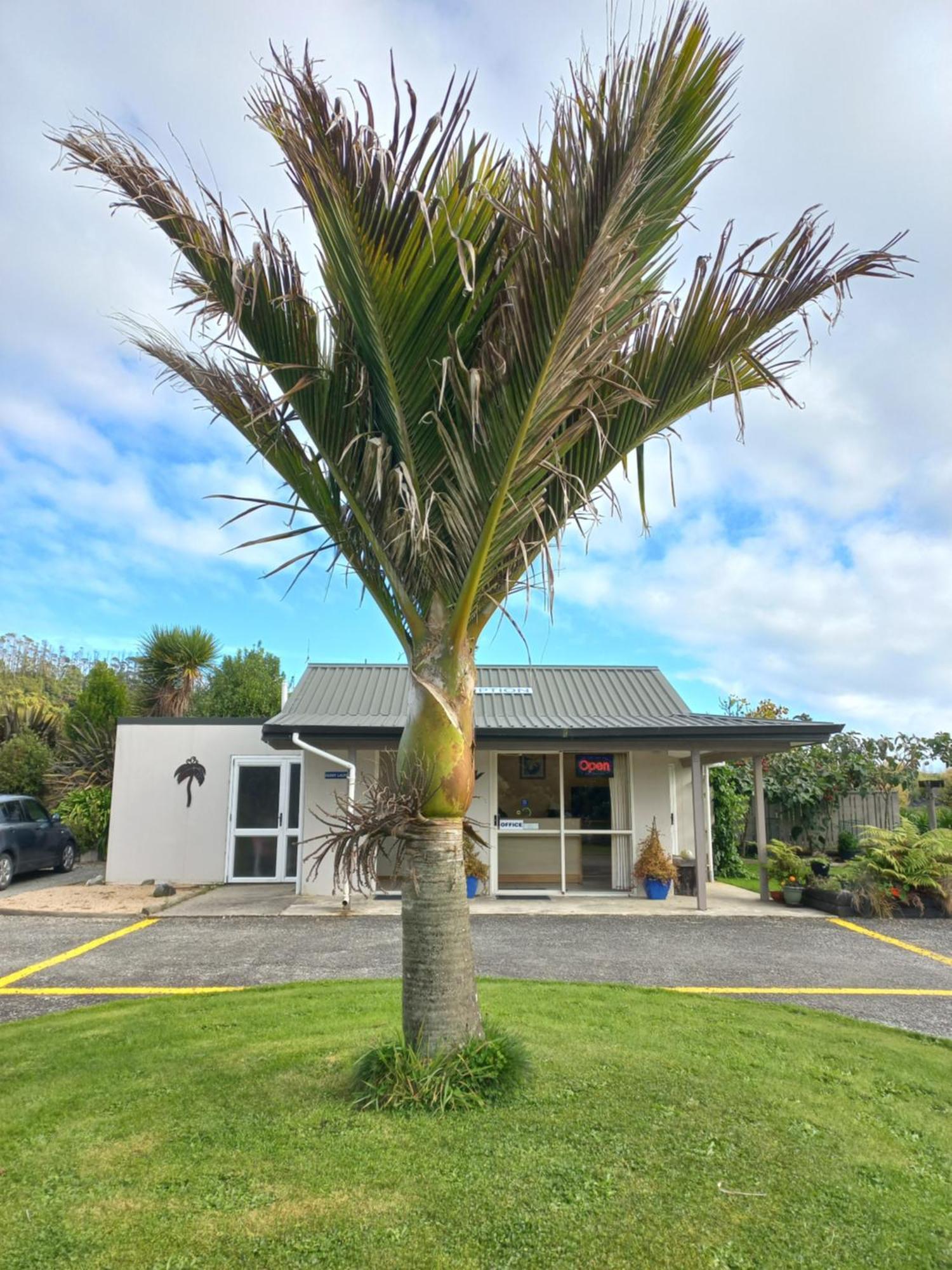 Karamea River Motels Extérieur photo